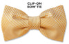 Clip On Bow Tie 319